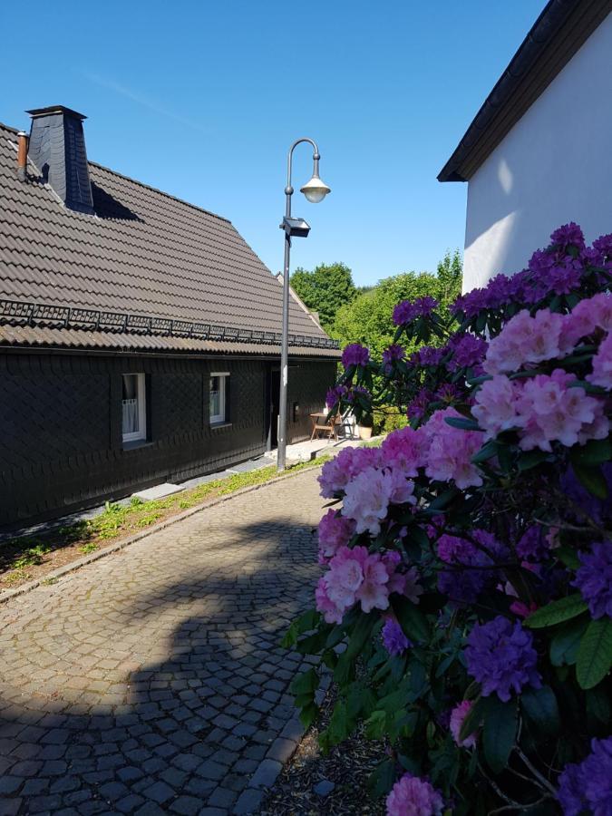 Pilgrims "Elfriede"- Freundliche Unterkunft Remblinghausen Extérieur photo